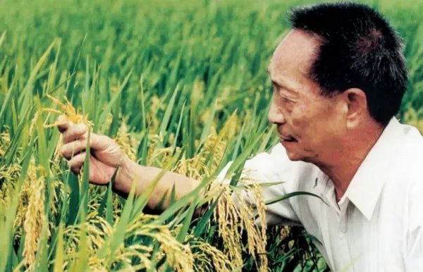 袁隆平是哪里人呢?