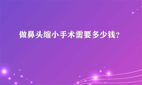 做鼻头缩小手术需要多少钱？