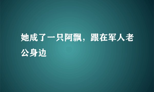 她成了一只阿飘，跟在军人老公身边