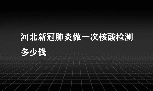 河北新冠肺炎做一次核酸检测多少钱