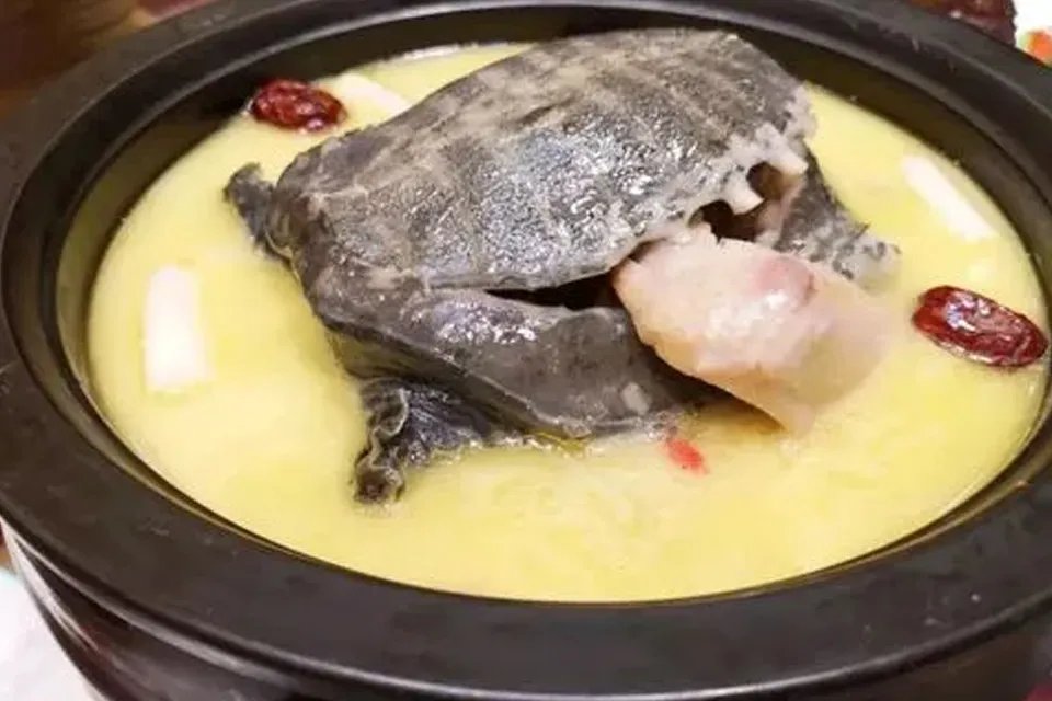 霸王别姬是什么菜 霸王别姬是什么菜系的代表菜