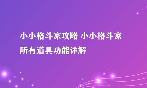 小小格斗家攻略 小小格斗家所有道具功能详解