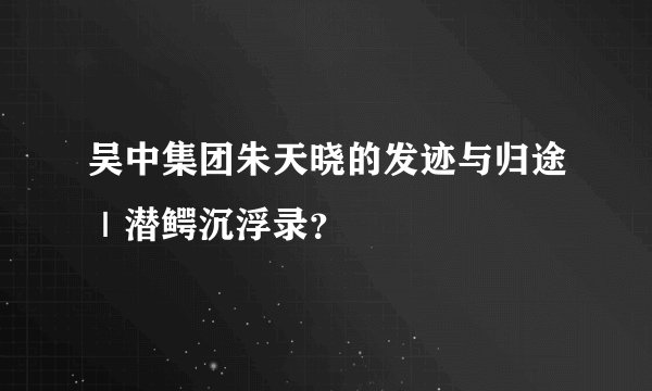 吴中集团朱天晓的发迹与归途｜潜鳄沉浮录？