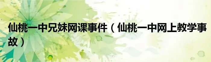 仙桃一中兄妹网课事件（仙桃一中网上教学事故）