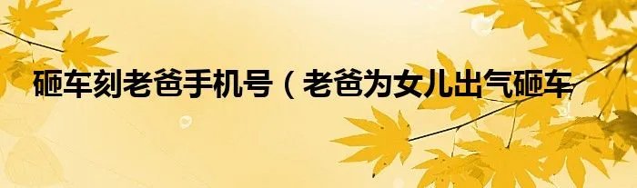 砸车刻老爸手机号（老爸为女儿出气砸车