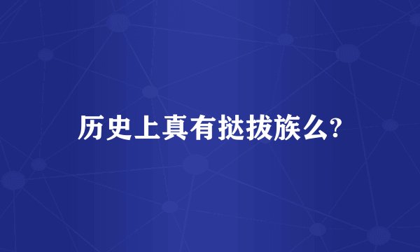 历史上真有挞拔族么?