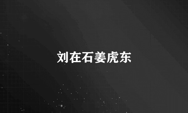 刘在石姜虎东
