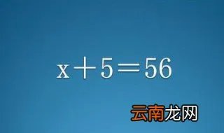 数学方程中的元次是谁创造的 数学方程中的元次的由来