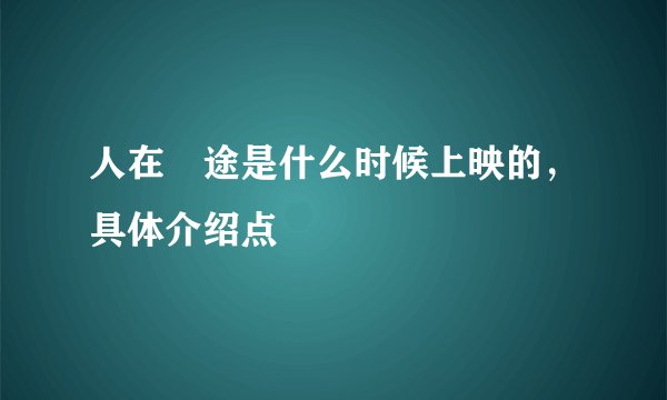 人在囧途是什么时候上映的，具体介绍点