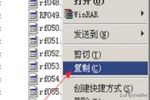 cfbug不掉血文件怎么用?