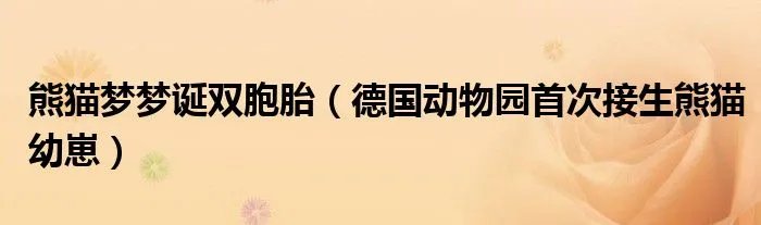 熊猫梦梦诞双胞胎（德国动物园首次接生熊猫幼崽）