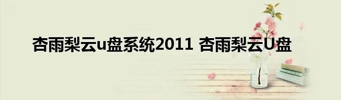杏雨梨云u盘系统2011 杏雨梨云U盘