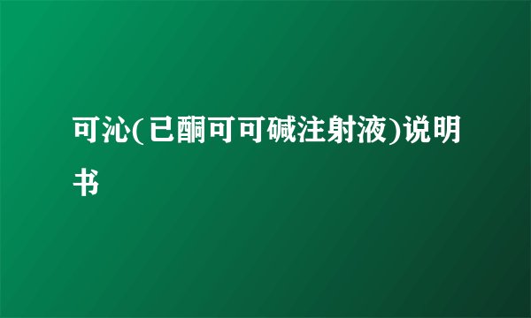 可沁(已酮可可碱注射液)说明书