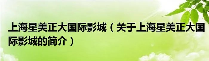 上海星美正大国际影城（关于上海星美正大国际影城的简介）