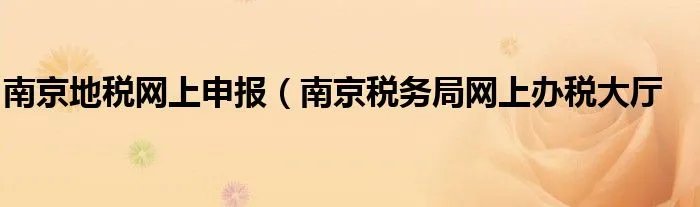 南京地税网上申报(南京税务局网上办税大厅
