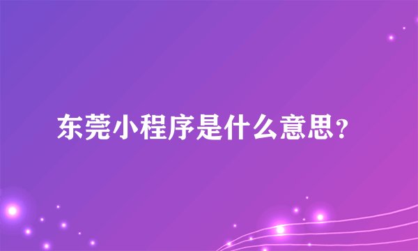 东莞小程序是什么意思？