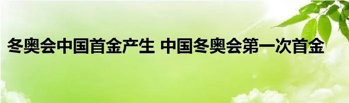 冬奥会中国首金产生 中国冬奥会第一次首金