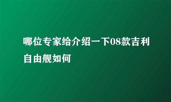 哪位专家给介绍一下08款吉利自由舰如何