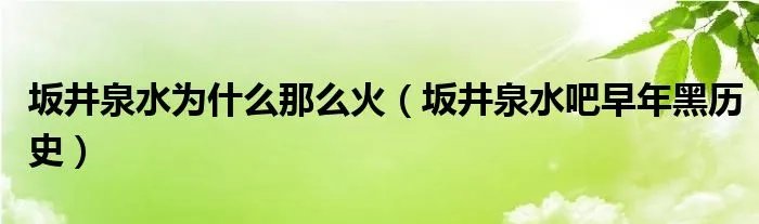 坂井泉水为什么那么火（坂井泉水吧早年黑历史）