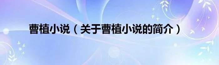 曹植小说（关于曹植小说的简介）