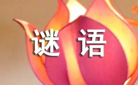 有一只熊走过来谜语