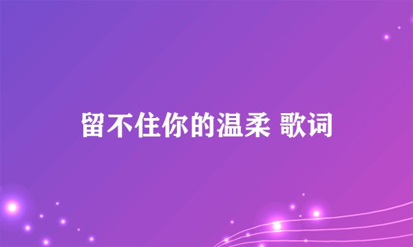 留不住你的温柔 歌词