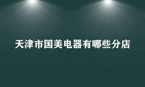 天津市国美电器有哪些分店