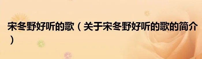 宋冬野好听的歌（关于宋冬野好听的歌的简介）