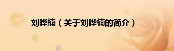刘晔楠（关于刘晔楠的简介）