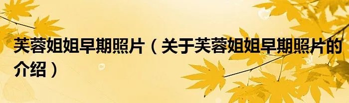 芙蓉姐姐早期照片（关于芙蓉姐姐早期照片的介绍）