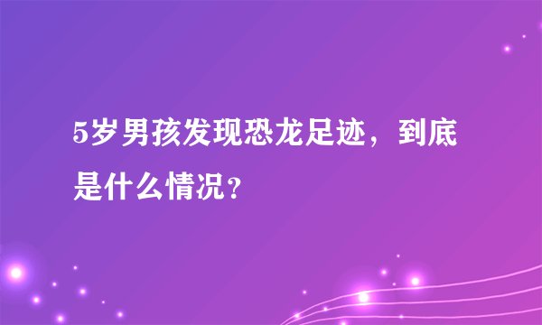 5岁男孩发现恐龙足迹，到底是什么情况？
