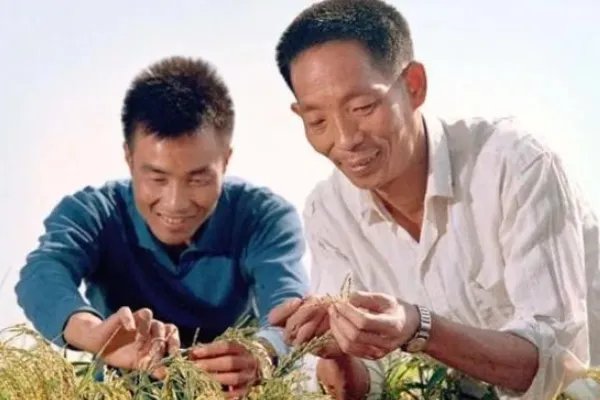 袁隆平在病危之际还关心稻子长势,稻子对于袁隆平意味着什么?