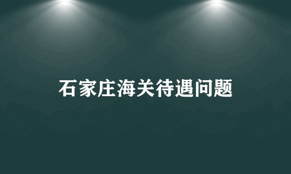石家庄海关待遇问题