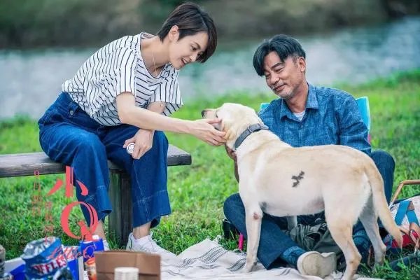 如何评价电影《小Q》？