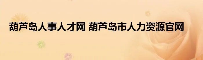 葫芦岛人事人才网 葫芦岛市人力资源官网