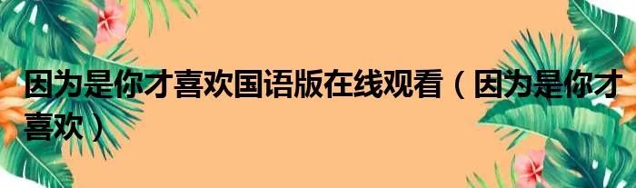 因为是你才喜欢国语版在线观看（因为是你才喜欢）