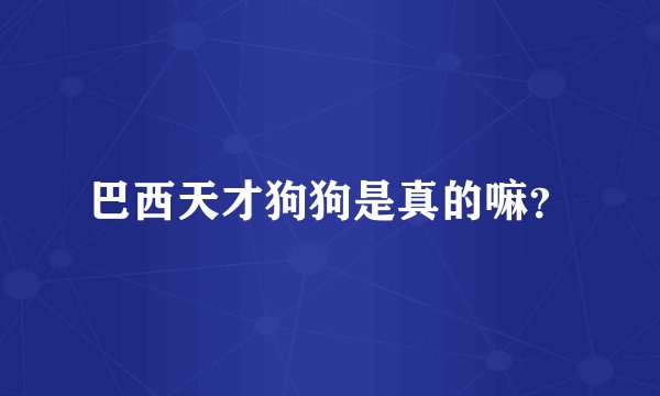 巴西天才狗狗是真的嘛?