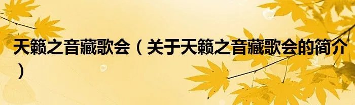 天籁之音藏歌会（关于天籁之音藏歌会的简介）