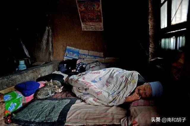 4000万失能老人如何照料？