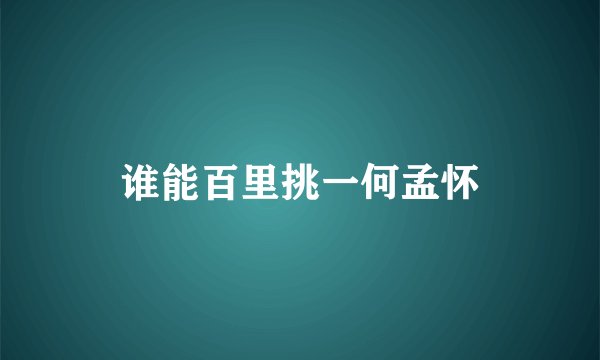 谁能百里挑一何孟怀