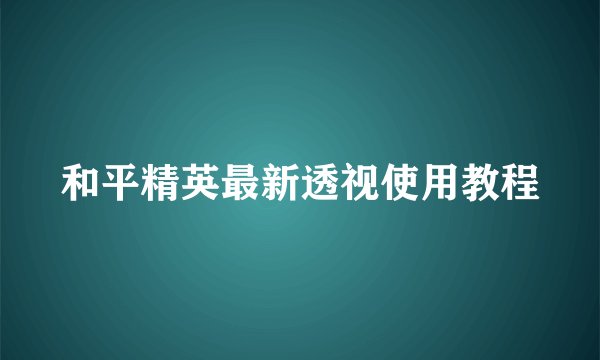 和平精英最新透视使用教程