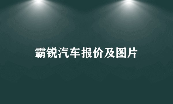 霸锐汽车报价及图片