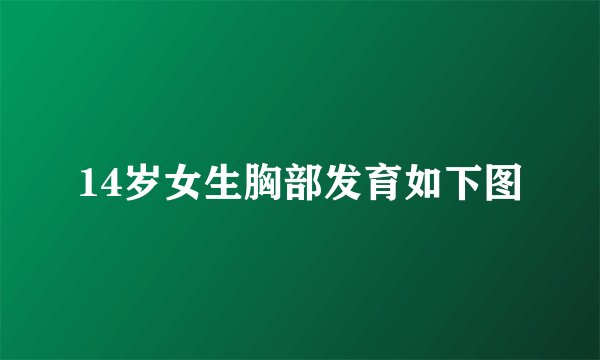 14岁女生胸部发育如下图
