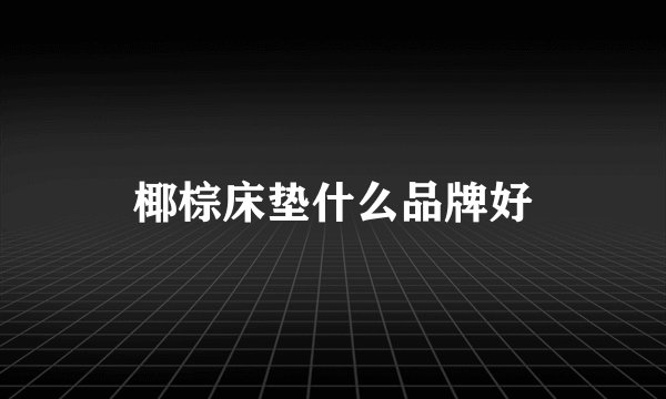椰棕床垫什么品牌好