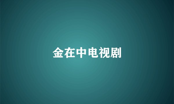 金在中电视剧