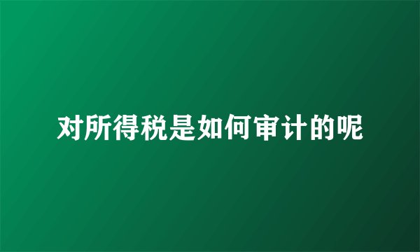 对所得税是如何审计的呢