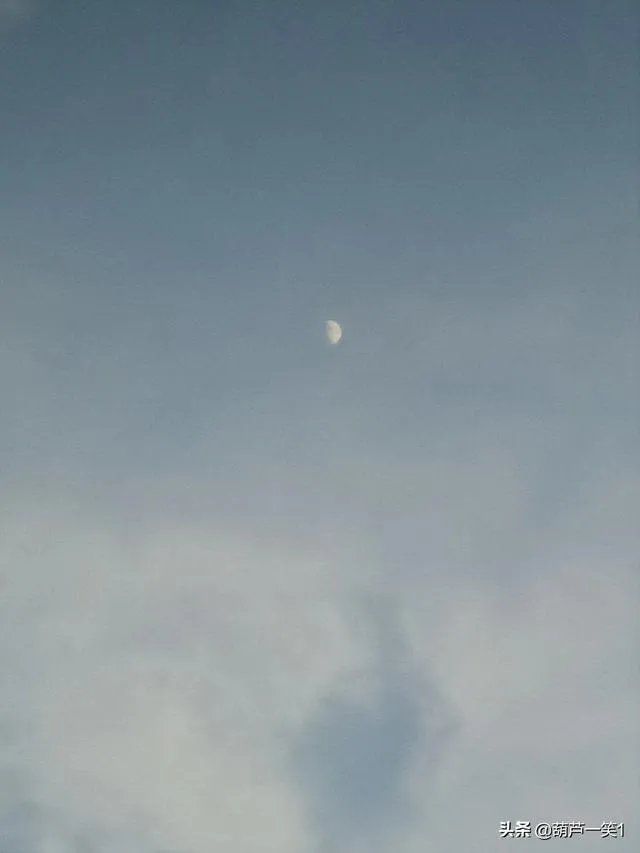 自古以来,关于七夕的诗词有很多,你最喜欢哪一首、哪一句?