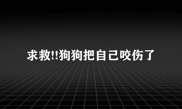 求救!!狗狗把自己咬伤了