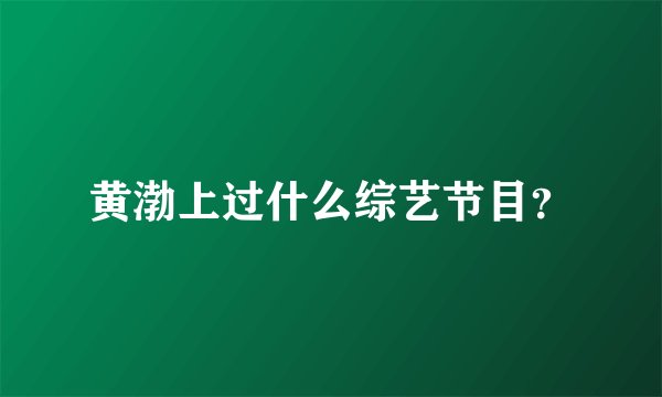黄渤上过什么综艺节目？