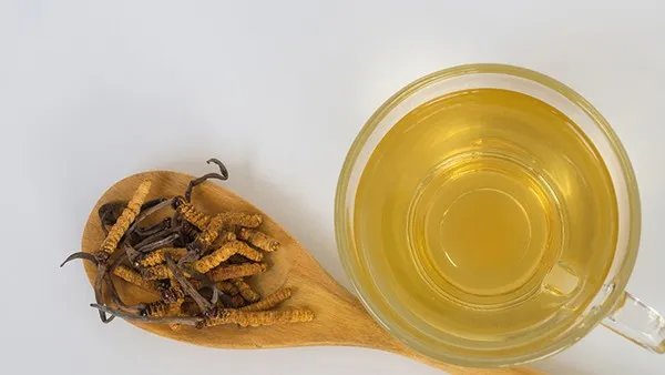 鱼胶的功效与作用 鱼胶的营养价值